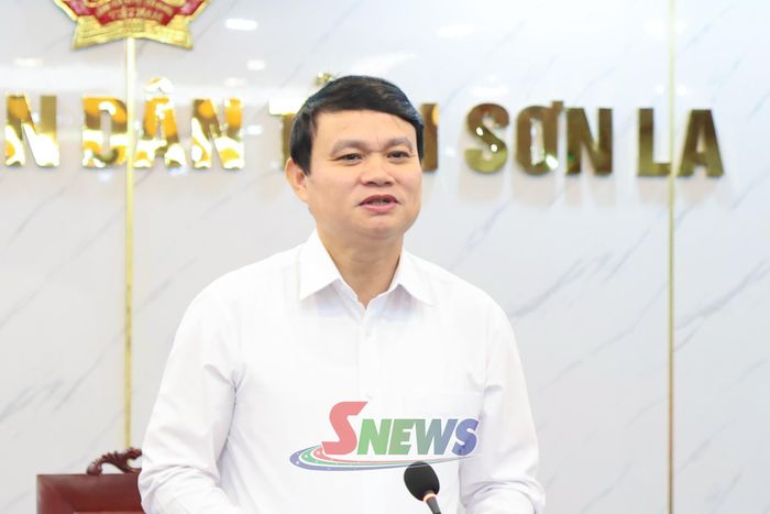 Đồng chí Đặng Ngọc Hậu, Phó Chủ tịch UBND tỉnh, phát biểu kết luận tại cuộc họp.