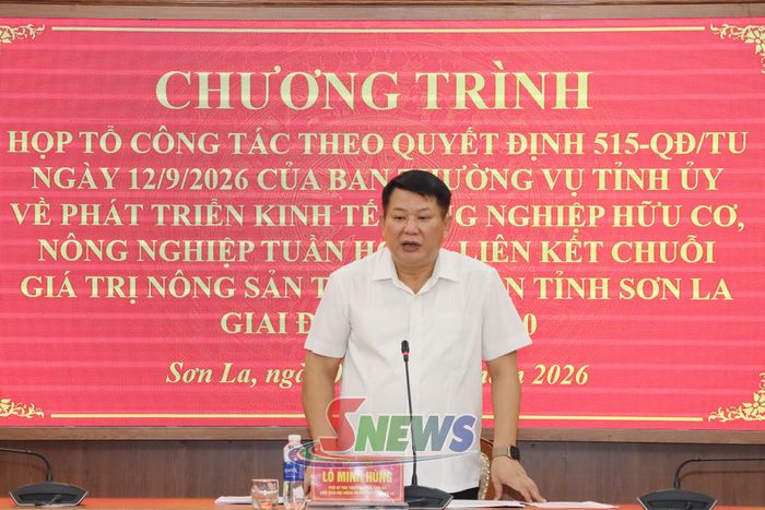 Đồng chí Lò Minh Hùng, Phó Bí thư Thường trực Tỉnh ủy, Chủ tịch HĐND tỉnh phát biểu tại cuộc họp.
