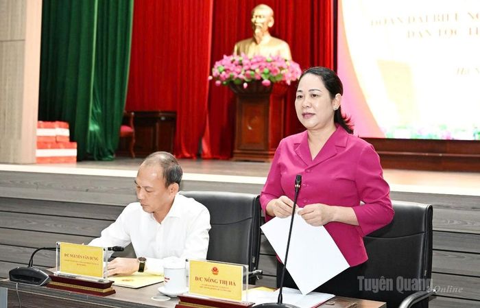 Thứ trưởng Bộ Dân tộc và Tôn giáo Nông Thị Hà phát biểu tại chương trình gặp mặt.