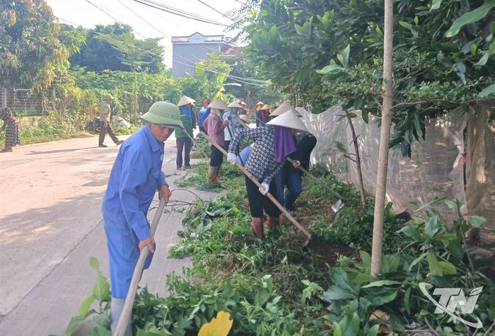 Cán bộ, đảng viên xóm Hoàng Mai, xã Tân Khánh tham gia dọn dẹp vệ sinh đường làng, ngõ xóm.
