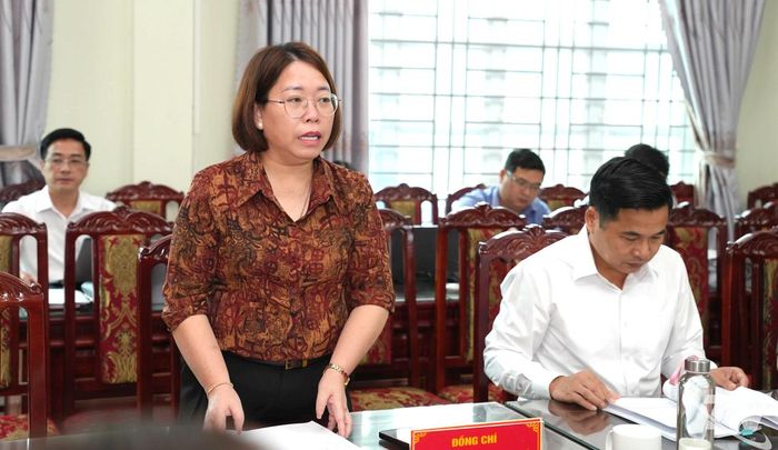 Đại biểu phát biểu ý kiến tại buổi làm việc.