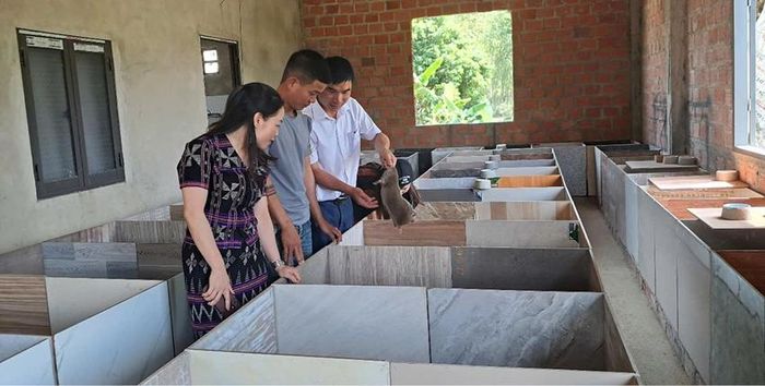 Mô hình nuôi dúi thương phẩm của anh Đặng Công Sơn ở thôn Sơn Thủy, xã A Lưới 3.
