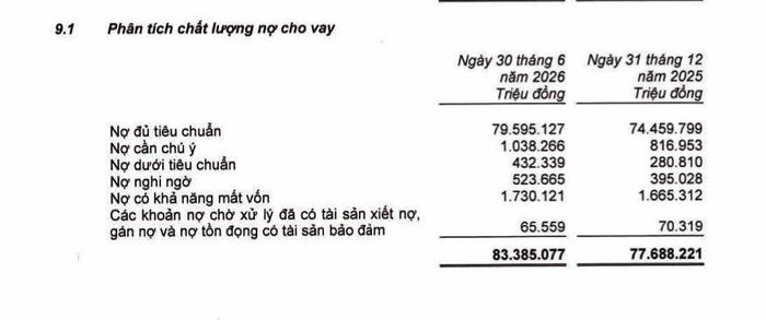 Chất lượng nợ vay của BVBank. 
