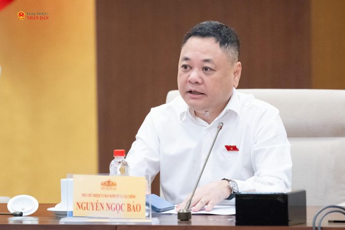 Phó Chủ nhiệm Ủy ban Kinh tế và Tài chính Nguyễn Ngọc Bảo điều hành nội dung phiên họp. Ảnh: Phạm Thắng