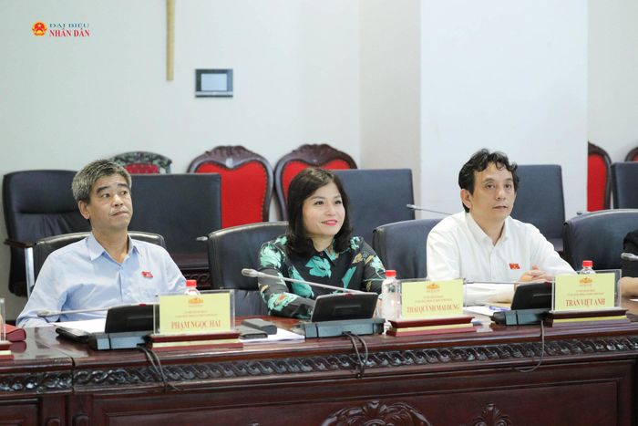 Các đại biểu dự phiên họp