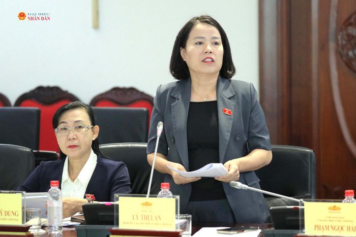 ĐBQH Lý Thị Lan (Tuyên Quang) phát biểu