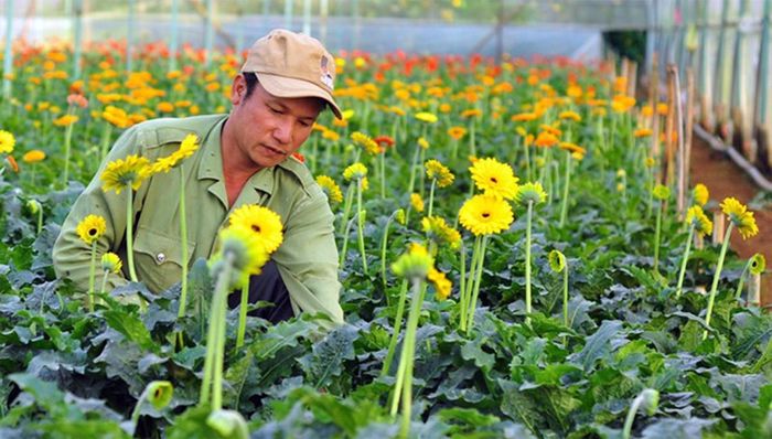 Hà Nội đặt mục tiêu thành lập mới từ 150 hợp tác xã, liên hiệp hợp tác xã trở lên trong năm 2027.