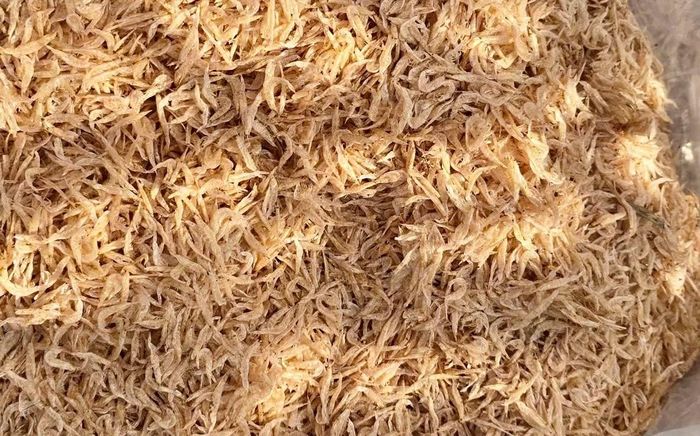 Ruốc (còn gọi là khuyếc) – đặc sản của các vùng biển bãi ngang miền Trung.