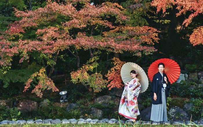 Tới Nagoya, Nhật Bản vào mùa thu, khách du lịch được tư vấn ghé thăm Vườn Tokugawaen, để chiêm ngưỡng những cây phong và trắc bách diệp rực rỡ sắc màu đầy mê hoặc. Ảnh: tokugawaen.com
