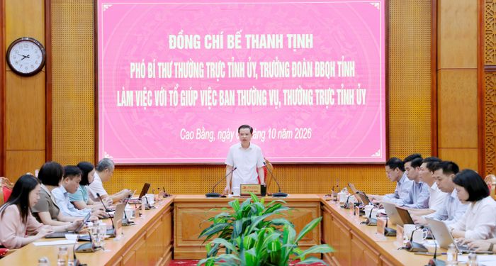 Phó Bí thư Thường trực Tỉnh ủy, Trưởng Đoàn đại biểu Quốc hội tỉnh Bế Thanh Tịnh kết luận buổi làm việc.