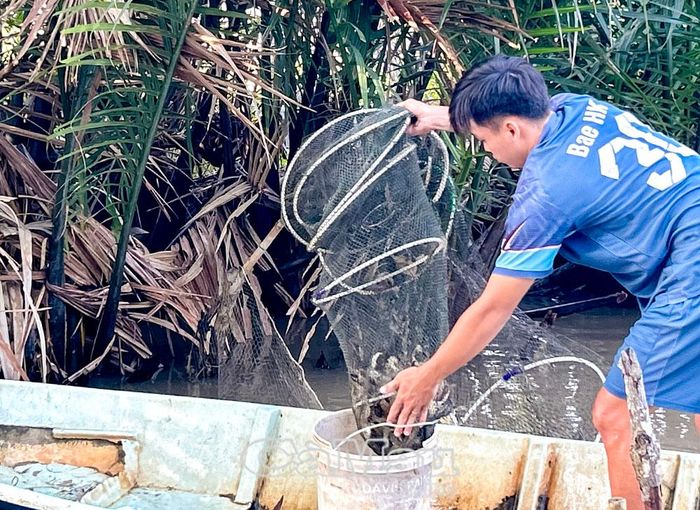 Tôm - rừng là mô hình sản xuất đặc trưng của Cà Mau, có sức cạnh tranh cao và còn nhiều dư địa phát triển.