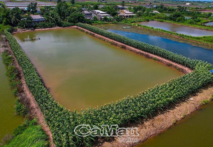 Những mô hình sinh kế hỗ trợ trồng trọt, chăn nuôi đang góp phần giảm nghèo bền vững hơn cho xã.