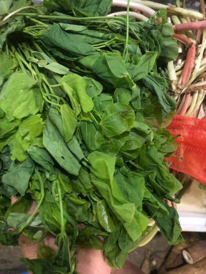 Điểm khiến rau bướm được ưa chuộng nằm ở hương vị khá đặc trưng - Ảnh minh hoạ