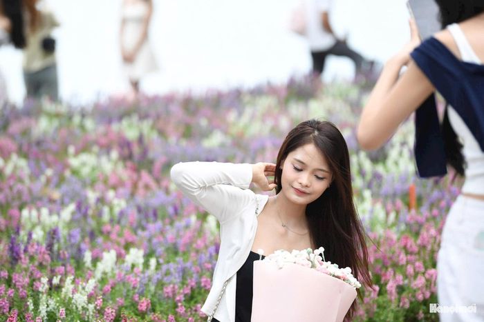 Các bạn trẻ nhanh chóng biến dải hoa thành một góc chụp ảnh mới. Những bộ trang phục mang màu sắc nhẹ nhàng hòa cùng sắc hoa tạo nên những khung hình đậm chất thu Hà Nội.