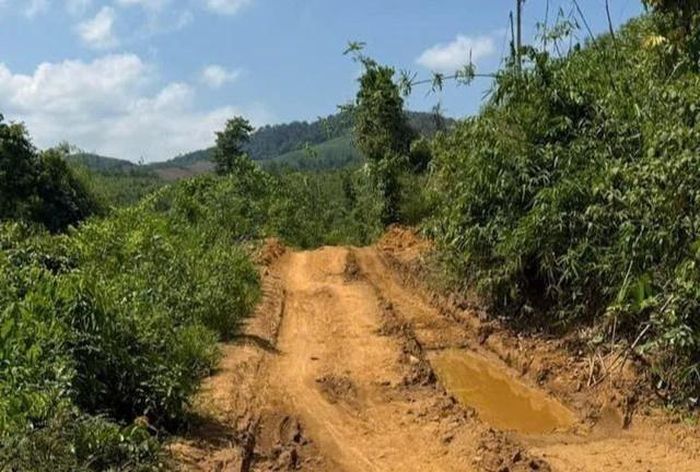 Đoạn đường ở thôn Kon Dóc, xã Đặng Thùy Trâm, Quảng Ngãi, nơi ông Barry gặp sự cố. Ảnh: NVCC.