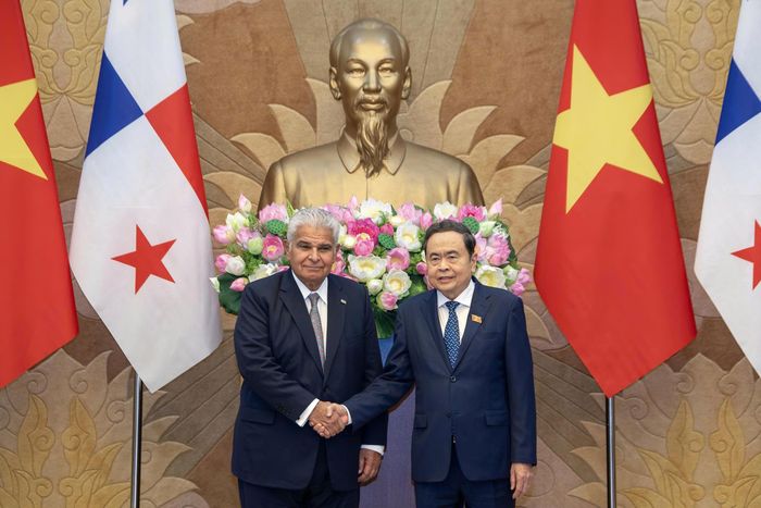 Quan hệ hữu nghị và hợp tác nhiều mặt giữa Việt Nam và Panama được bồi đắp qua các chuyến thăm, những hiệp định hợp tác và sự phối hợp tại nhiều diễn đàn quốc tế. Hai bên thường xuyên trao đổi đoàn, duy trì các cơ chế hợp tác song phương và phối hợp tại các diễn đàn đa phương. Quan hệ chính trị, ngoại giao giữa Việt Nam và Panama nhìn chung ổn định, tin cậy.