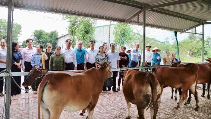 Các mô hình sinh kế được lựa chọn phù hợp điều kiện sản xuất, khả năng lao động và lợi thế của từng hộ, từng địa phương. (Ảnh: NT)