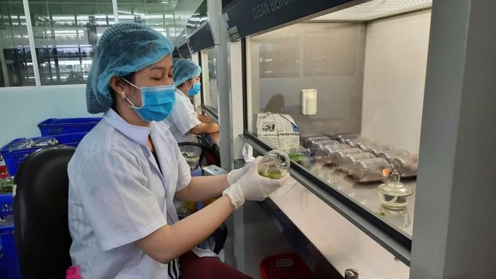 Thành phố Hồ Chí Minh đang triển khai nhiều chính sách thu hút nhân tài. (Ảnh: QUANG QUÝ)