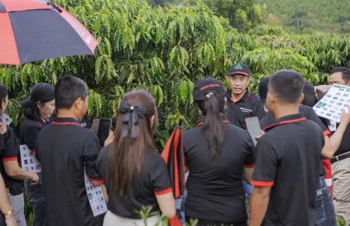 Anh Tường khuyến khích người nông dân đưa chính kinh nghiệm của mình vào mỗi cuộc trao đổi. (Ảnh: ILO/Linh Pham)