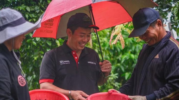 Anh Nguyễn Trọng Tường (giữa) đã có nhiều năm đồng hành cùng người trồng cà-phê - một hành trình hai chiều anh học hỏi từ kinh nghiệm của người nông dân, đồng thời chia sẻ những kiến thức thiết thực. (Ảnh: ILO/Linh Pham)