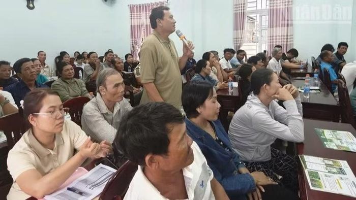 Nông dân trồng mía ở khu vực phía nam tỉnh Khánh Hòa bày tỏ đồng thuận với sự đồng hành của Công ty Cổ phần Phát triển nông nghiệp AgriS-Chi nhánh Khánh Hòa, hỗ trợ nông dân an tâm sản xuất trong những mùa vụ tiếp theo. (Ảnh: NGUYỂN TRUNG)