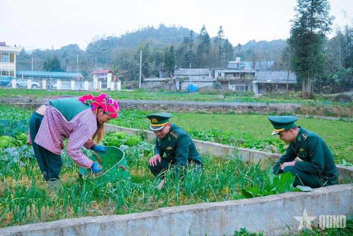 Cán bộ Đồn Biên phòng cửa khẩu Săm Pun hỗ trợ người dân chăm sóc rau màu, phát triển sản xuất. 