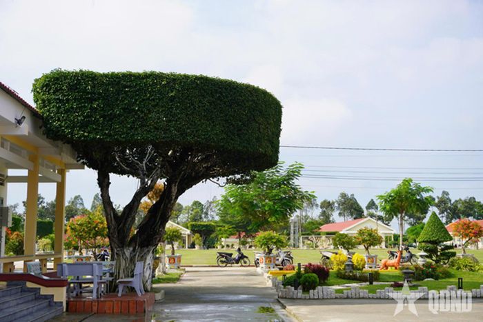 Một góc cảnh quan xanh, sạch, đẹp tại Sư đoàn 5. 