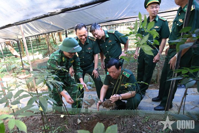  Đoàn công tác tham quan mô hình trồng sâm Lai Châu tại bản Ngài Thầu.