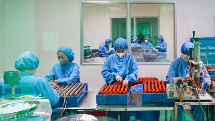 Công nhân làm việc tại Nhà máy Dược phẩm OPC, phường Tây Thạnh, TPHCM. Ảnh: HOÀNG HÙNG