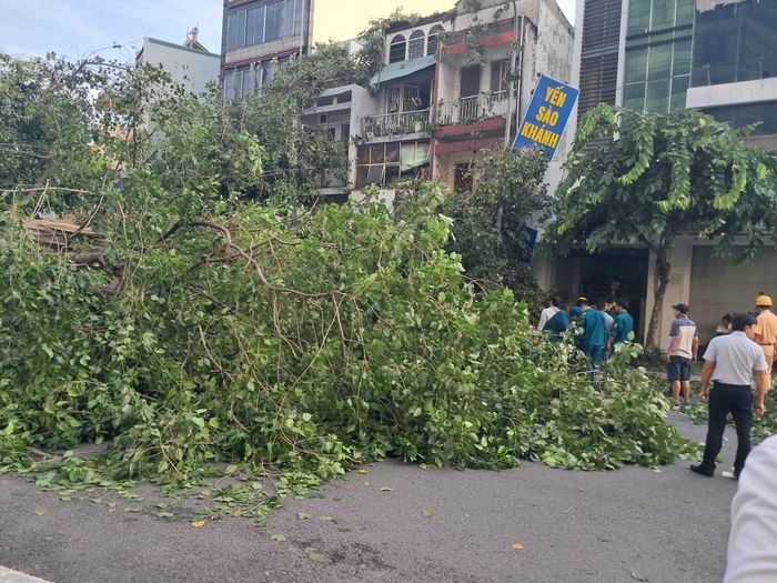  Tán cây chắn hoàn toàn đường Đinh Tiên Hoàng. Ảnh: HỮU TÂM 