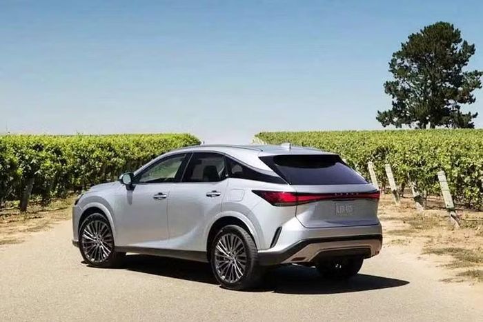 Cụ thể, trong quá trình tối ưu phiên bản mới của RX, Lexus đã sử dụng cơ sở thử nghiệm của hãng tại Nürburgring để thực hiện một số cải tiến đối với khung gầm, qua đó nâng cao độ ổn định và sự êm ái. Thương hiệu Nhật Bản cho biết đường đua được mệnh danh "Địa ngục Xanh” là địa điểm lý tưởng để tinh chỉnh những thay đổi này nhờ những đoạn đường nhấp nhô và bề mặt không đồng nhất.