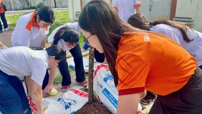  Sinh viên Trường Cao đẳng Viễn Đông tham gia chương trình "Chung tay vì QTSC xanh" năm 2026. 