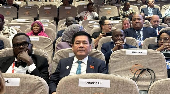 Phó Chủ tịch Quốc hội Nguyễn Hồng Diên tham dự Đại hội đồng IPU-153 tại Tanzania. (Ảnh: Bảo Chi)
