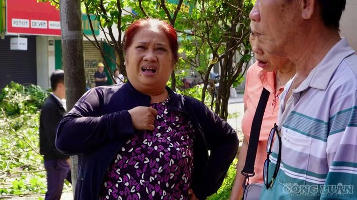 Bà Linh Thảo (51 tuổi, người dân sống gần khu vực) cho biết: "Cây này nó tồn tại lâu rồi, của dân trồng chứ không phải của công ty cây xanh, từ khi tôi còn nhỏ xíu đã thấy nó đó. Người dân sống quanh đây đều nói cây đó mang yếu tố tâm linh nên không ai dám chặt, mỗi năm chỉ tỉa bớt vô để nó không lấn chiếm đường quá, không nghĩ là nay nó bật gốc. Nhưng rất may vào khoảng 6h15 tôi nghe tiếng động lớn, chạy ra thì thấy nó ngã, mọi người kể lại lúc nó sắp đổ có 1 cô bán ve chai đi ngang qua, nó không đổ ngay mà đổ xuống từ từ, cô bán ve chai vừa đi qua khỏi là nó đổ hẳn xuống đường, khá may mắn là không có ai bị thiệt hại về người, chỉ có 5 nhà bị ảnh hưởng, rơi bảng hiệu với bị cong méo hàng rào"
