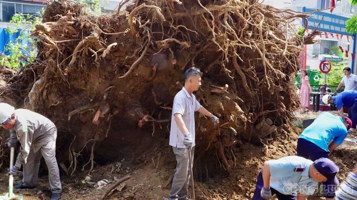 Đến hơn 10h30 sáng, công tác dọn dẹp, xử lý vẫn đang gấp rút được thực hiện.