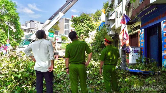 Lực lượng công an khu vực cho biết khoảng 6h10 nghe tin báo từ người dân, ngay lập tức đơn vị công an cùng lực lượng công nhân cây xanh, dân quân, csgt đến hiện trường để xử lý sự cố, điều tiết giao thông, ước tính có hơn 50 người thực hiện nhiệm vụ.