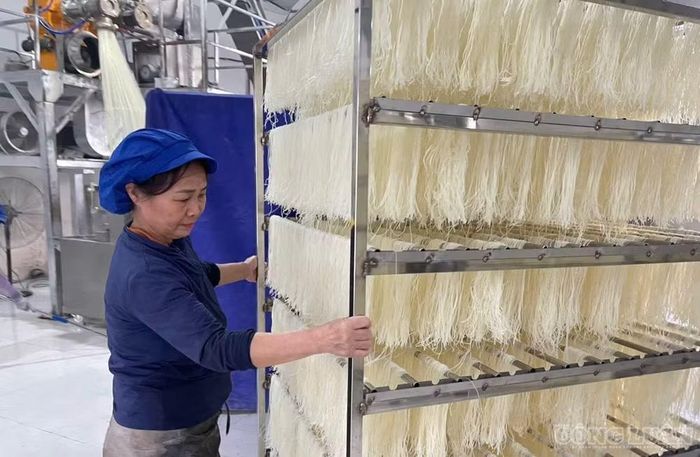 Những mẻ miến khô mới ra lò được phơi khô trên kệ để chuẩn bị đóng gói. Ảnh: Kim Long
