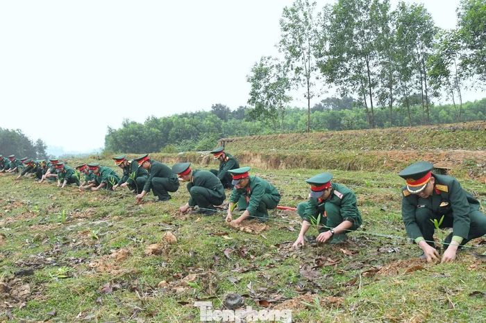 Giai đoạn 2021-2025, toàn Sư đoàn 324 trồng được hơn 336 ha rừng, đạt hơn 108% kế hoạch