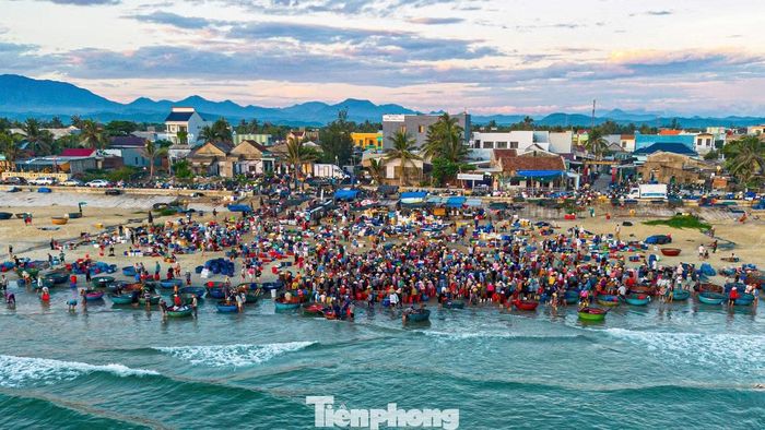 Khoảng 6-7h, hoạt động mua bán tại chợ cá diễn ra sôi động. Những rổ hải sản tươi rói được bày dọc bãi biển, thu hút người dân và du khách đến tham quan, lựa chọn. Khung cảnh nhộn nhịp tạo nên bức tranh sinh động về đời sống mưu sinh của ngư dân miền biển.