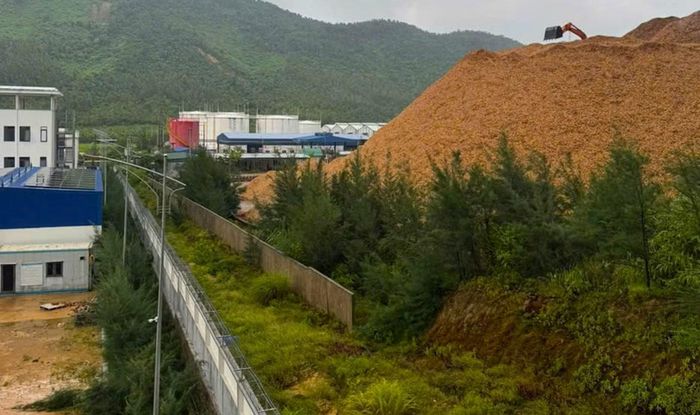 Vào những thời điểm gió mạnh, bụi từ gỗ dăm bay sang kho xăng dầu.
