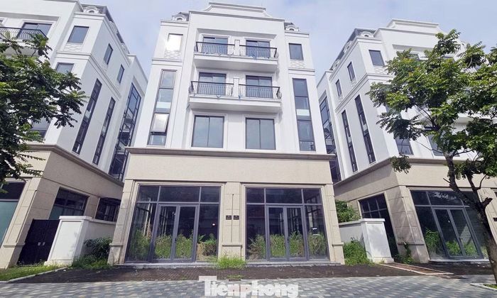 Chuyên gia đề xuất thí điểm mức thuế 0,2% với đất bỏ hoang trước khi áp dụng rộng.