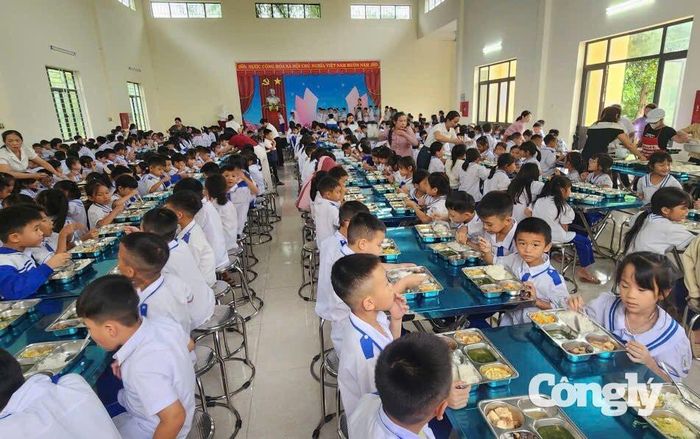 Địa phương đồng thời bố trí ôtô đưa đón học sinh miễn phí, hỗ trợ tiền ăn bán trú trong năm học.
