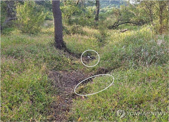 Một khu vực dọc DMZ mà Hàn Quốc cho rằng đã bị Triều Tiên gài mìn. Ảnh: Yonhap