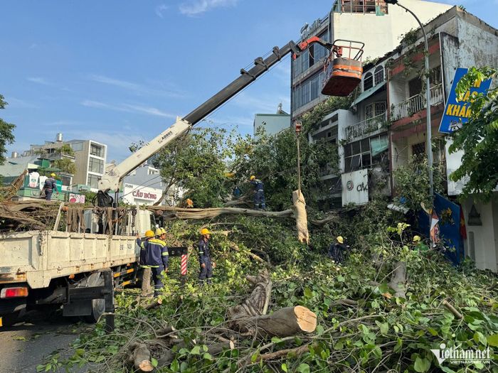 Nhân viên cây xanh khắc phục sự cố, xử lý cây bật gốc. Ảnh: TK