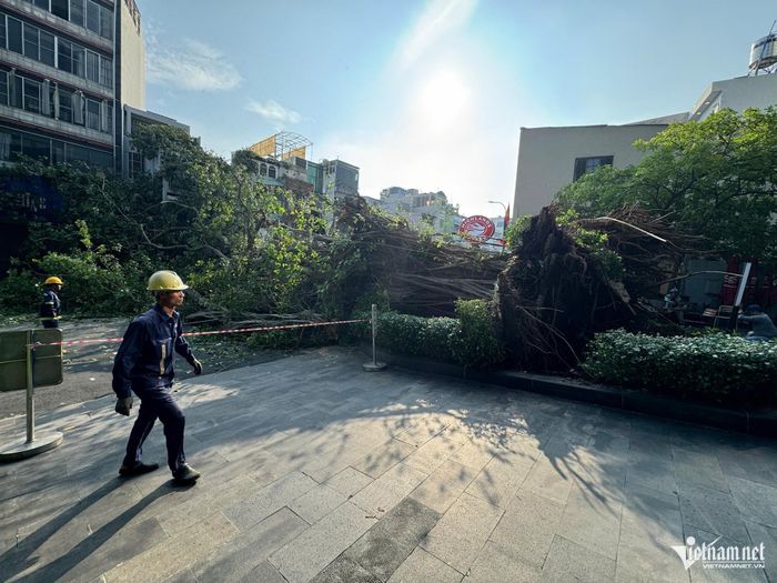 Hiện trường cây ngã chắn ngang đường Đinh Tiên Hoàng. Ảnh: TK