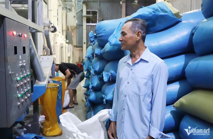 Ông Đoàn Văn Tài kiểm tra lô gạo hữu cơ đang xay xát để chuẩn bị xuất khẩu đi nước ngoài.