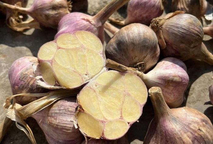 Tỏi - gia vị có nhiều công dụng với sức khỏe. Ảnh: Hoa Linh.