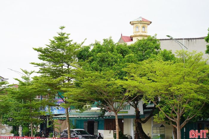 Theo Đài Khí tượng thủy văn Hà Tĩnh, không khí lạnh ảnh hưởng đến địa bàn tỉnh khiến nhiệt độ giảm thấp, có nơi mưa vừa, mưa to và dông.