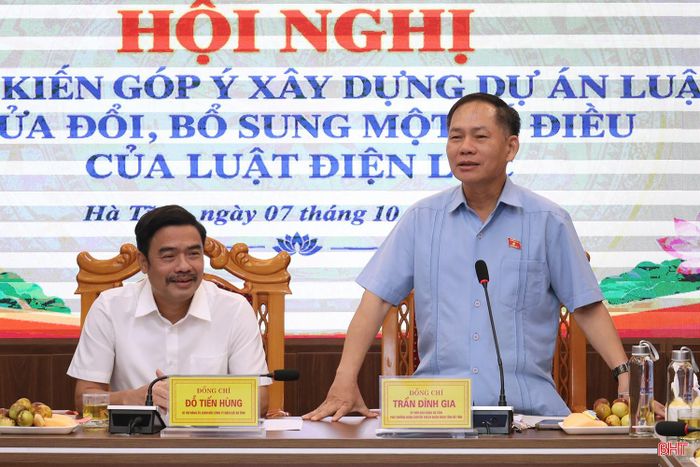 Phó Trưởng đoàn chuyên trách Đoàn ĐBQH tỉnh Hà Tĩnh Trần Đình Gia phát biểu tại hội nghị.
