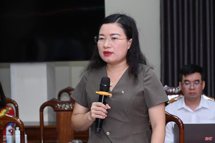 Phó Chủ tịch UBND tỉnh Nguyễn Thị Nguyệt phát biểu tại cuộc họp.
